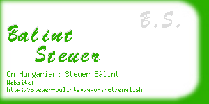 balint steuer business card